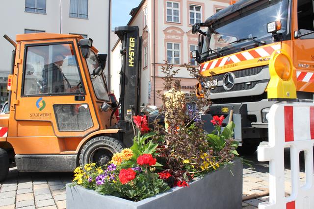 Auch herkömmliche Pflanzentröge stellen die Stadtwerke für Natur in Pfaffenhofen 2017 auf