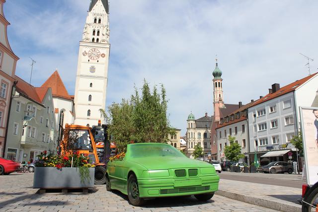 Der Hauptplatz wird immer grüner...