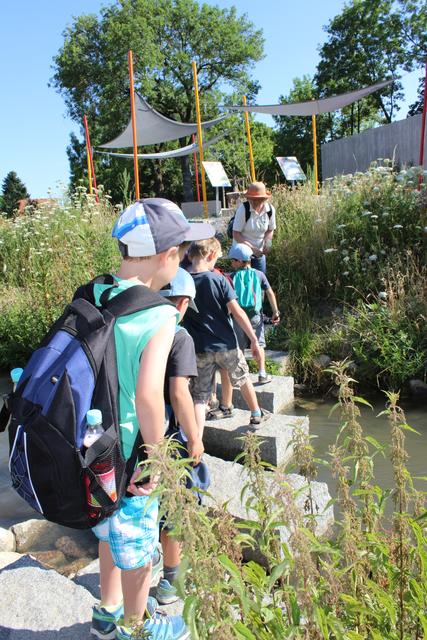 Umweltpädagogin Ulrike Kainz führt die Kinder über die Fischtreppe