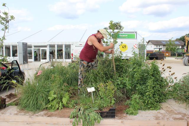 Ehrenamtliches Mitglied des Vereins Interkulturgarten