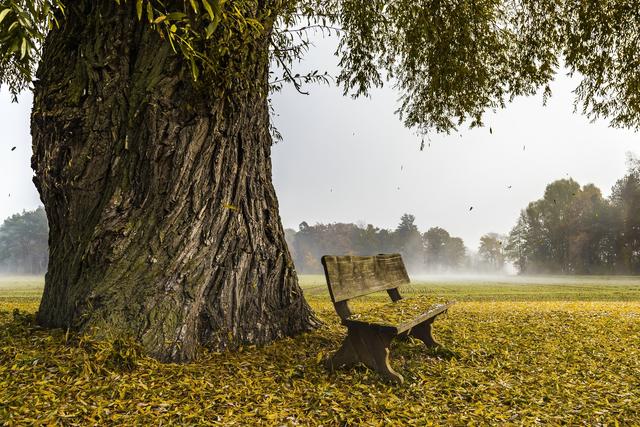Herbstbank_Ünal Cörtük_Annahme