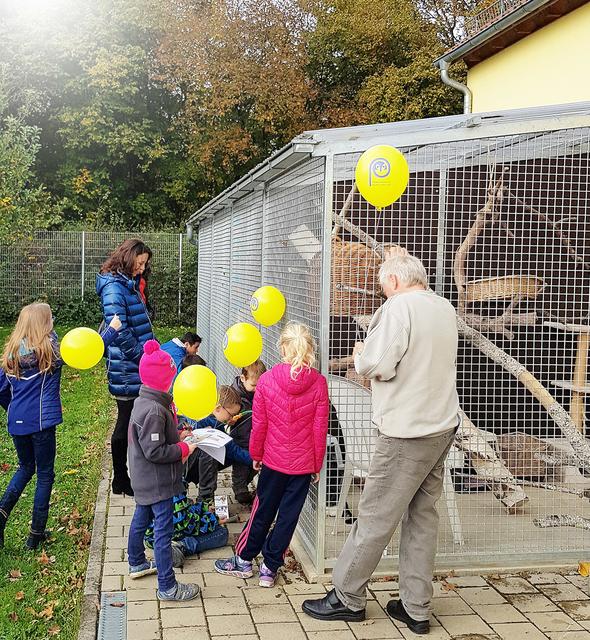 Und wer wohnt hier drin? Besucher vor einem der Außengehege für Katzen (Foto: Sandra Lob)