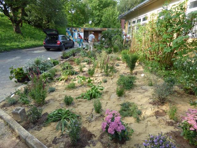 Sommerpflanzaktion im InterKulturGarten mit neu angelegtem Staudenbeet. Pflanzliste u.a.: Schönaster, Blumen-Dost, Duftnessel, Spanischer-Felberich, Indianernessel, Skabiose, Bergbohnenkraut, Präriegras, Phlox, Distel-Arten, Lavendel, Steinquendel, Dost, Natternkopf, Kornblume, Judassilberling, Flammenblume, Fetthenne, Duftveilchen, Duftgeranie, Königskerze, Zitronenverbene, Marokko-Minze, Borretsch, Tagetes, Malven, Schnittlauch, Johannisbeersalbei, Ysop, Speisesalbei und Thymian.
