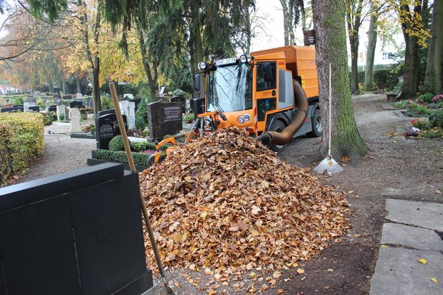 Sechs Tage vor Allerheiligen sammeln die Stadtwerke Laub auf dem Friedhof