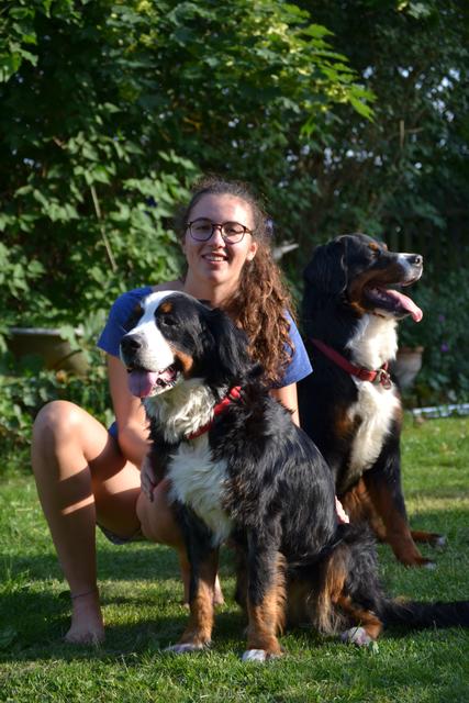 Mogli (im Hintergrund) ist jünger, als viel größer und stärker Heli. Er ist neuer Chef des hauseigenen Sicherheitsdienstes