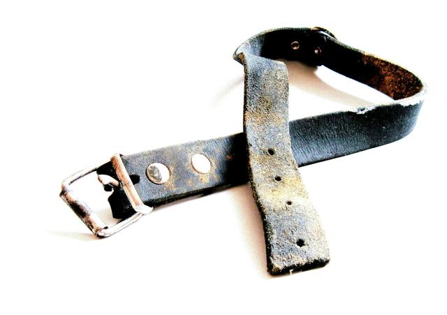 Hund und Halsband kamen nach fast zwei Jahren gleichermaßen lädiert in der Tierherberge Pfaffenhofen an