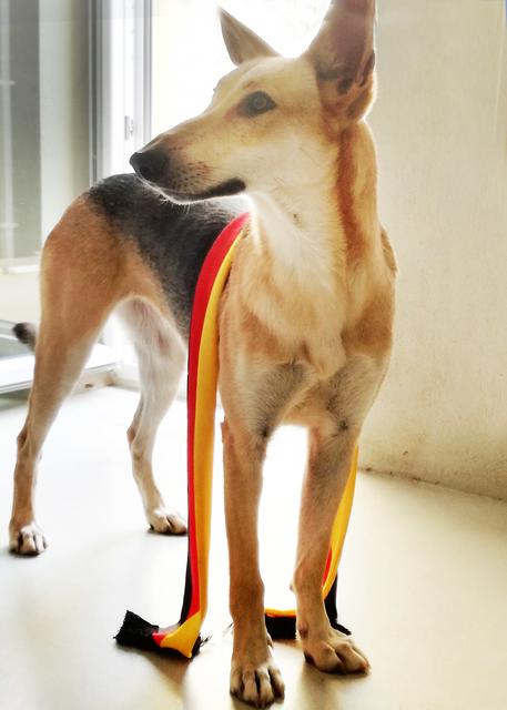 Paloma plädiert für mehr Frauenfußball. Sie trägt einen Hauch von Nichts: Einen elegant fließenden Schal, dessen Schnitt besonders figurbetonend ist