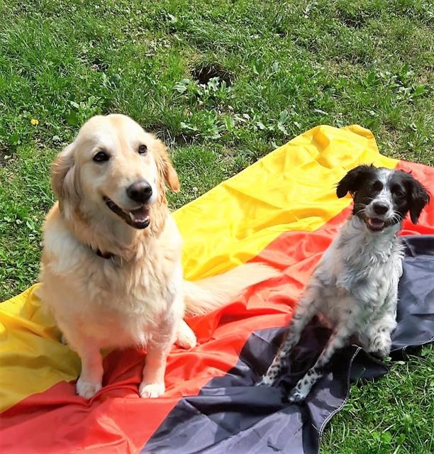 Stillsitzen und Bravsein für die Hymne! Ruby und Mia üben bereits seit Tagen