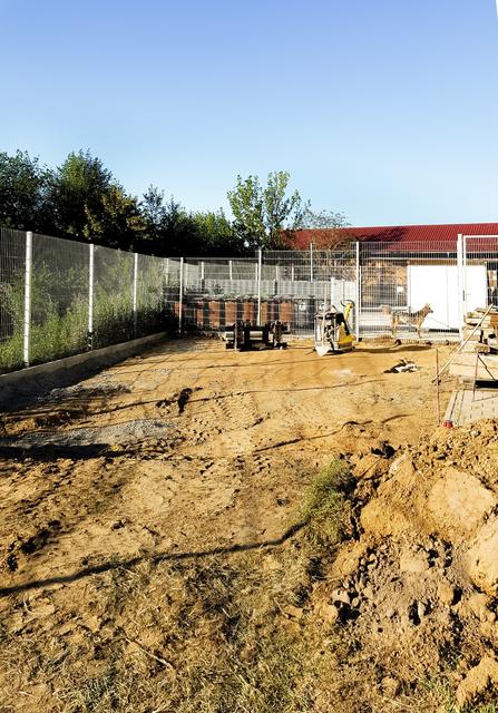 Apokalypse statt Tierparadies. Aber nur für kurze Zeit.