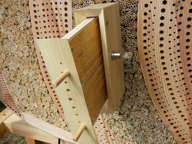 Wildbienenhotel im Bürgerpark aufgebaut und eröffnet. SchauSchauSchublade, die einen Blick in den Brutraum der "Wildbienenkinderstube" ermöglicht.

Foto: Pfaffenhofen summt!