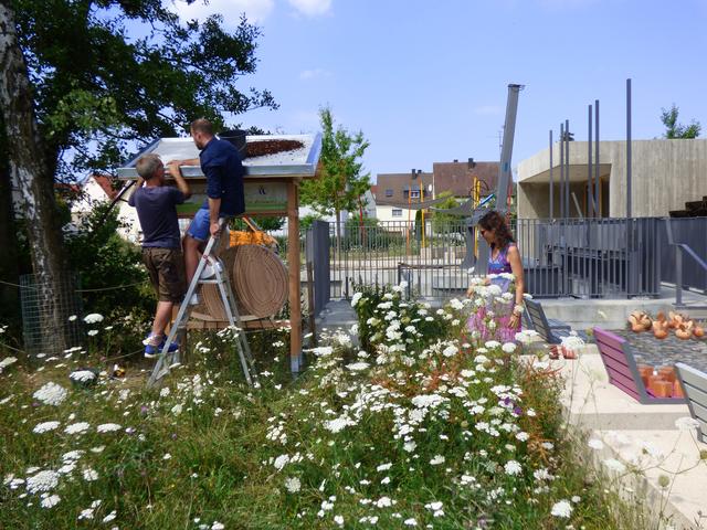 Wildbienenhotel im Bürgerpark aufgebaut und eröffnet. Dachbegrünung wird vorbereitet.

Foto: Pfaffenhofen summt!