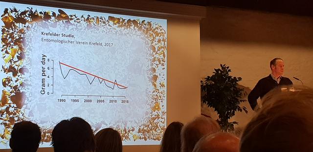 Das Diagramm zeigt den Rückgang der Insekten seit 1990.