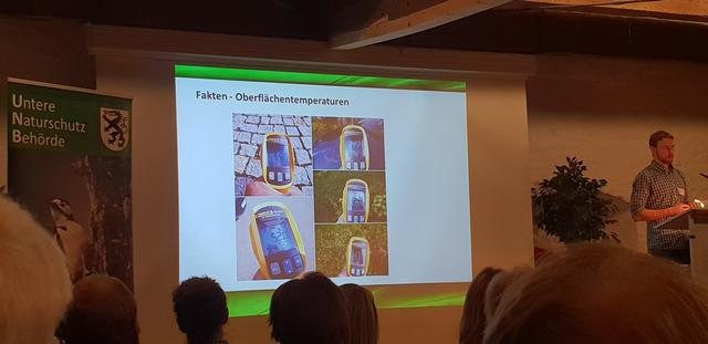 Hitze in der Stadt - Das Bild zeigt, dass sich Pflaster- und Betonflächen bei Sonneneinstrahlung deutlich stärker aufheizen als begrünte Flächen.