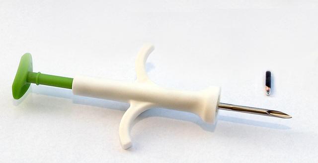 Nix zum Fürchten: der winzige Chip. Und die dazugehörende kleine Spritze