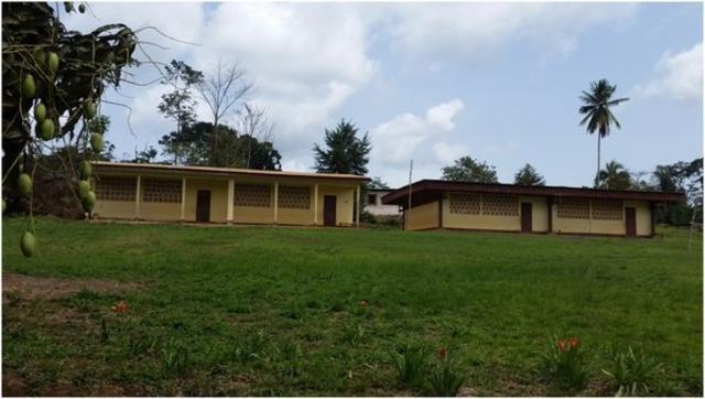 Öffentliche Grundschule in Njana, Süd Kamerunn | Foto: New Leg