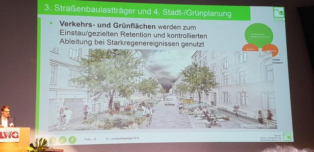 Versickerungseinrichtungen in Verkehrs- und Grünflächen können mit geeignetem Bodenaufbau große Mengen Oberflächenwasser aufnehmen.