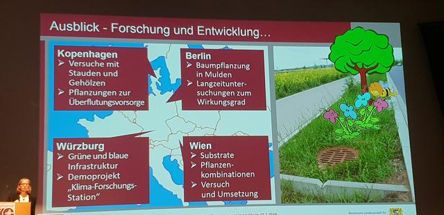 Europaweit laufen bereits verschiedene Projekte zum Thema der ökologisch wertvollen Bepflanzung von Sickermulden. Auch Pfaffenhofen ist Teil einer deutschlandweiten Projektgruppe.