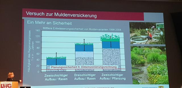 Regenwasser versickert in Sickermulden mit einer Staudenbepflanzung besser, als in Sickermulden mit gewöhnlichem Grasbewuchs.