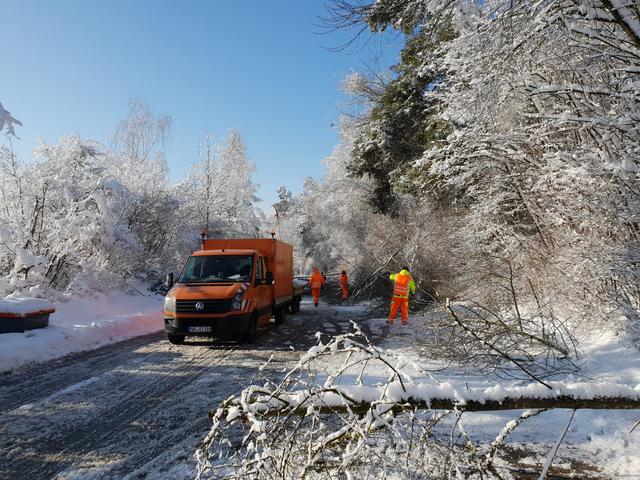 Pfaffenhofen ein Wintermärchen. Nicht immer können die Bäume die massive Schneelast verkraften.
