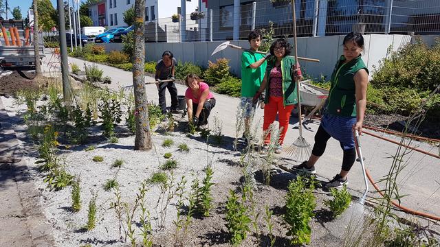 Beim Pflanz-Workshop der Stadtwerke können Bürger lernen, pflegeleichte Blumenbeete im eigenen Garten anzulegen.