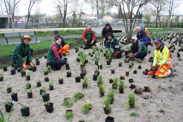 Wer auch im öffentlichen Grün etwas für den Naturschutz tun möchte, kann eine Grünanlagen-Patenschaft übernehmen. Mit mehr Bürgerbeteiligung erhalten wir auch mehr ökologisch wertvolle Flächen für Insekten im Stadtgebiet.