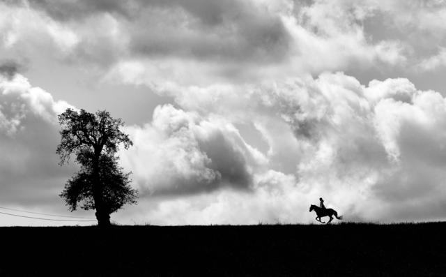 Black Rider - Ernst Hillisch