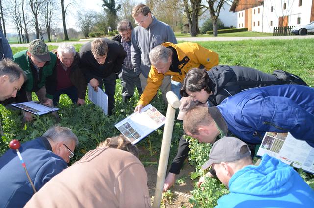 Landwirte beim Bodenkurs im Rahmen der „Bodenallianz“, die die Stadt ins Leben gerufen hat, um naturnahe und ökologische Landwirtschaft zu fördern. | Foto: Joseph Amberger