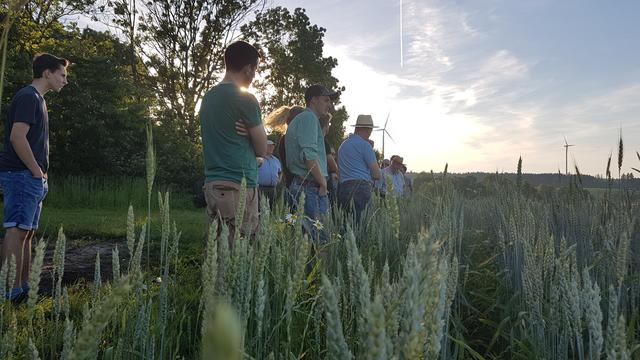 Felderbegehung auf dem Biolandhof Kreppold