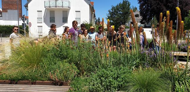 Die bunten Staudenbeete am Hungerturm sind beispielhaft für den Hausgartenbereich und können vom Bürger 1 zu 1 übernommen werden.