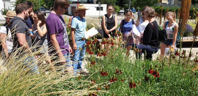 Die bunten Staudenbeete am Hungerturm sind beispielhaft für den Hausgartenbereich und vom Bürger 1 zu 1 übernommen werden.