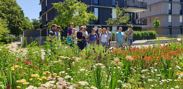 Bunte Blütenpracht im Bürgerpark, die nicht gegossen wird. Pflanzenarten, die mit dem trockeneren Klima nicht zurechtkommen, werden gegen angepasstere Arten ausgetauscht. So werden die Unterhaltskosten weiter reduziert und freiwerdende Kapazitäten in die Pflege neuer Anlagen zu stecken.