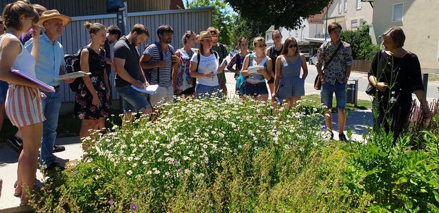 Die Artenvielfalt im Patenbeet an der Schlachthofstraße nutzten die Studenten, um ihre Pflanzenkenntnise zu prüfen.
