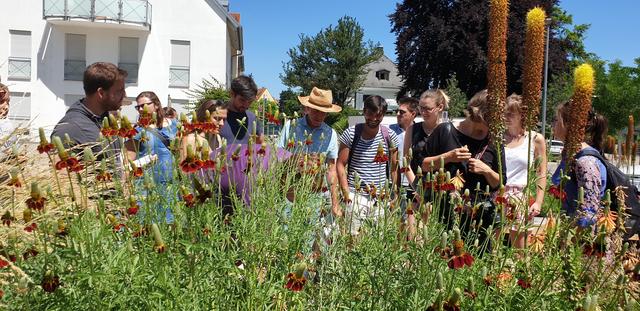 Die bunten Staudenbeete am Hungerturm sind beispielhaft für den Hausgartenbereich und können vom Bürger 1 zu 1 übernommen werden.
