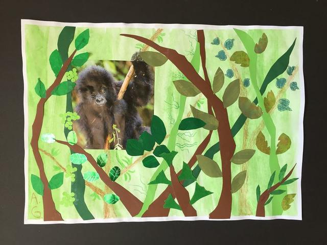 Junger Gorilla (HPT 2) | Foto: Ulrike Blechschmidt