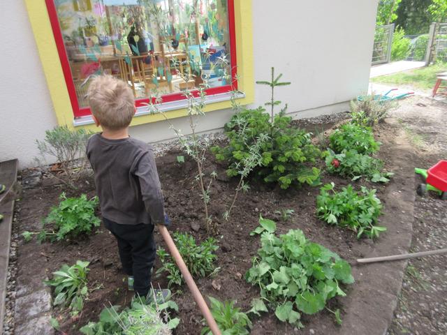 Kleiner Klimaschützer bei der Gartenpflege in der Kita St. Johannes