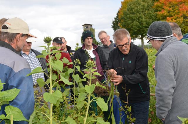 Vor ein paar Tagen waren die Landwirte der Bodenallianz und externe Fachleute beim Bodenkurs auf den Feldern von Michael Ostermair noch unter sich.
Am Montag, 21. Oktober soll sich das im Rahmen einer Bürgerwerkstatt ändern. | Foto: Joseph Amberger