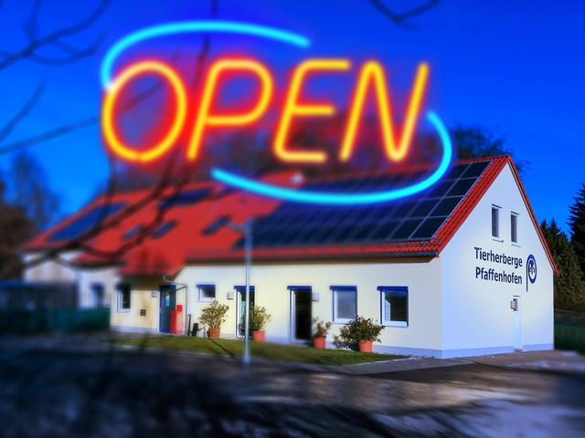 Ruhe vor dem (An-) Sturm. Die Tierherberge Pfaffenhofen.