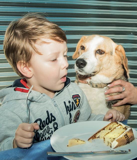 Fängst du an –﻿ oder soll ich? (Wir weisen vorsorglich darauf hin, dass zu keinem Zeitpunkt irgendeine Gefahr bestand. Weder für Luis (links), noch für Lucky. Auch durfte der Hund natürlich NICHT mitessen. Allerdings können wir nicht völlig ausschließen, dass "Lucky" möglicherweise ein bisserl was von dem Duft des frischgebackenen Kuchens in die Nase bekommen hat. Wir werden in Kürze eine Kontrolle auf Spätfolgen vornehmen lassen: Ihre Tierherberge Pfaffenhofen –﻿     OBACHT: DAS WAR IRONIE!)