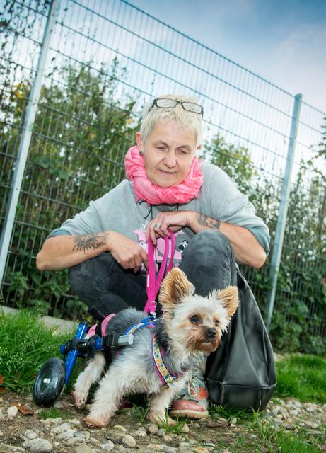 Und hier im Renn-Outfit: Ehrengast Molly und ihre Besitzerin Iris. Eine süße, kleine Rennsemmel, gutgelaunt und voller Energie. Sie scheint vergessen zu haben, dass sie von Geburt an schwer behindert und auf ihr kleines Wägelchen angewiesen ist.