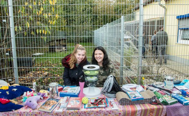 Einer von mehreren Flohmarkt-Ständen. Großteils bestückt mit Schönem und/oder Nützlichem fürs Haustier