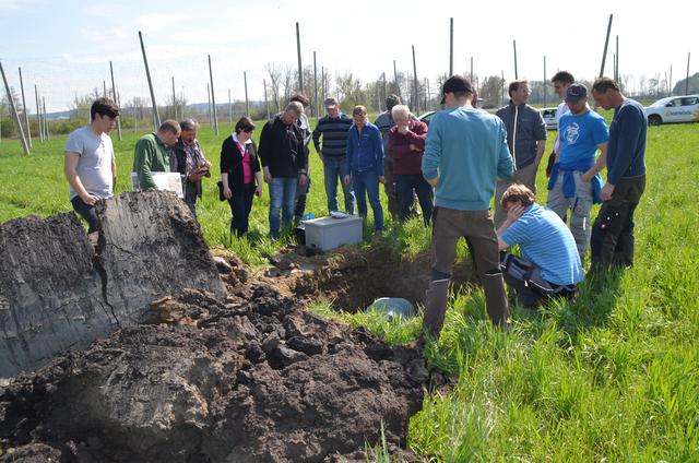 Die Bodenallianz hat sich zu einem Vorzeigeprojekt entwickelt. | Foto: Joseph Amberger