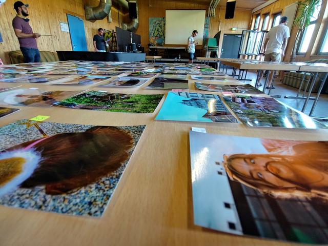 Eine schwierige Entscheidung hatte die Jury der Fotogehgrafie 2020 zu treffen. Die Teams hatten zahlreiche erstklassige Bilder eingereicht.