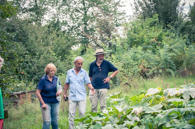 Landschaftsarchitektin Dorle Engels vom Verband Wohneigentum Bayern e. V. und IKG-Koordinatoren beim Rundgang zur Zertifizierung durch den Garten.
