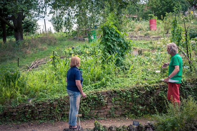 Landschaftsarchitektin Dorle Engels vom Verband Wohneigentum Bayern e. V. und IKG-Koordinatoren beim Rundgang zur Zertifizierung durch den Garten.