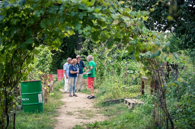 Landschaftsarchitektin Dorle Engels vom Verband Wohneigentum Bayern e. V. und IKG-Koordinatoren beim Rundgang zur Zertifizierung durch den Garten.