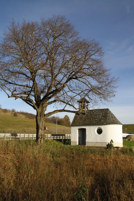 Die Antoniuskapelle wurde im Jahr 1933 von Walburga Müller erbaut und 2012 renoviert. | Foto: Sandra Härtenberger
