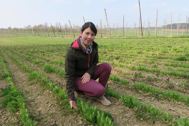 Die Landwirtin Maria Müller mit dem aufkeimenden Wintermohn, der Mitte Juli geerntet werden kann.