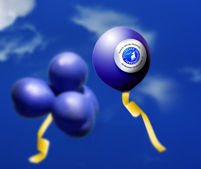 Die Feier ist geplatzt, die Luftballons nicht: 
Corona hat auch die ursprünglich geplante, große Jubiläumsfeier platzen lassen. | Foto: Paul Ehrenreich