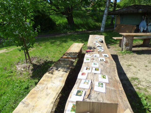 InterKulturGarten PAF - LebensRaumErlebnisPfad:
Obstsortenbestimmungstafeln A6:
Inbetriebnahme 02.06.2021