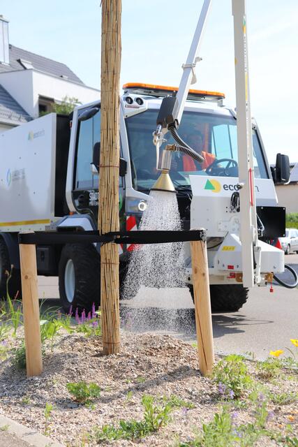 Die Gießfahrzeuge der Stadtwerke gießen ausschließlich Jungbäume und ältere Bäume, die im Zuge des Klimawandel  nicht mehr genug Wasser bekommen. Die Staudenbeete dagegen wurden so angelegt, dass ihnen das Regenwasser reicht